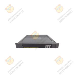 ICS Triplex T8311 expander interface module supplier