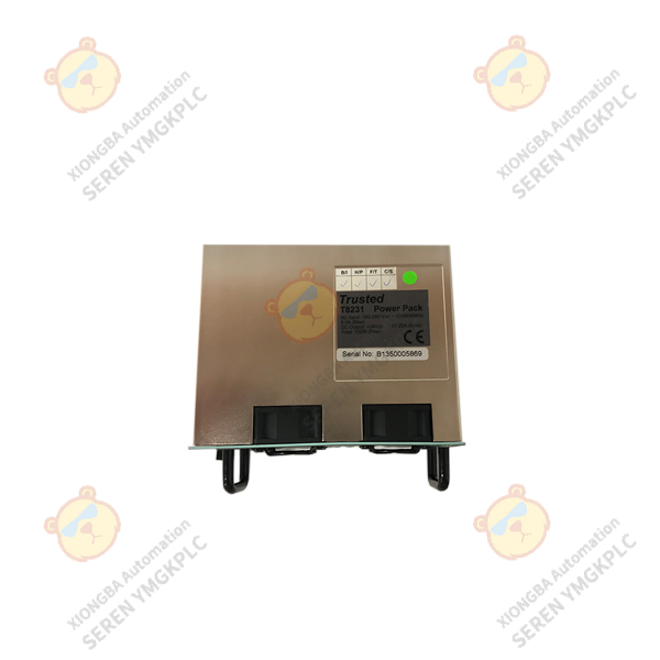 ICS Triplex T8231 power supply module supplier