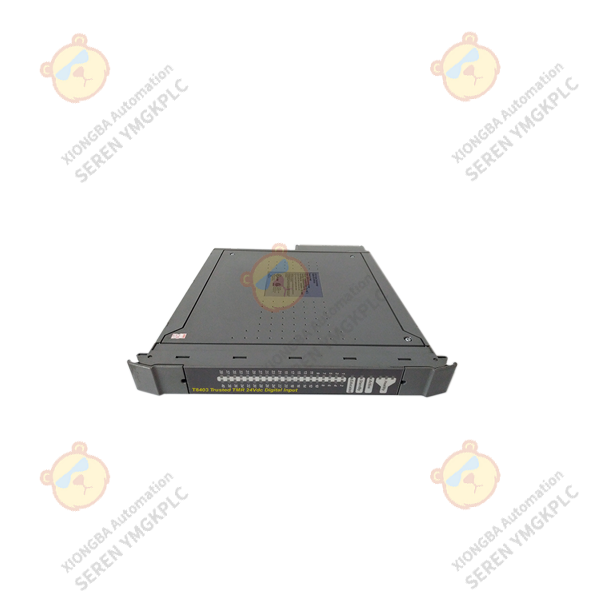 ICS Triplex T8403 digital input module supplier