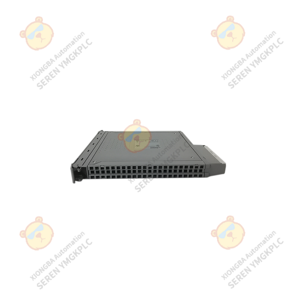 ICS Triplex T8461C digital output module supplier