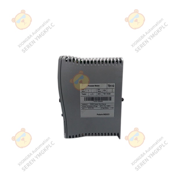 ICS Triplex T9110 power supply module supplier