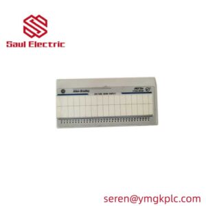 Allen-Bradley 1794-OE12 FLEX I/O 12-Channel Analog Output Module front view