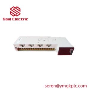 Schneider Electric Modicon Quantum 140ACO13000 Analog Output Module front view