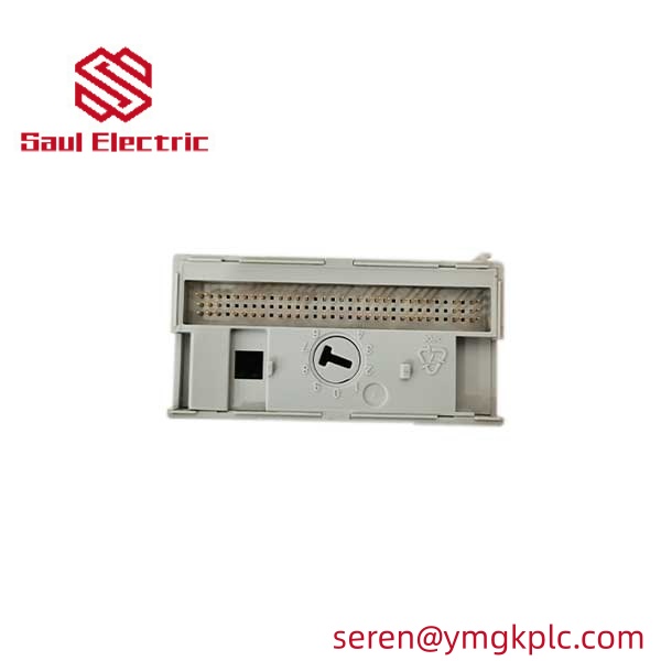 Allen-Bradley 1794-OE12 FLEX I/O 12-Channel Analog Output Module detail