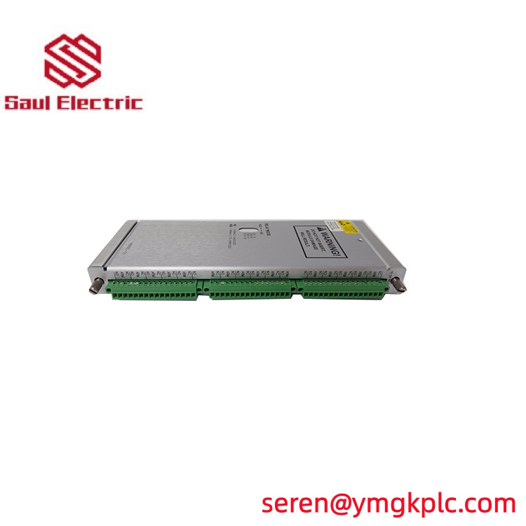 Bently Nevada 133819-01 | 3500/60 6-Channel Temperature Monitor I/O Module